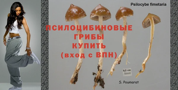 герыч Алзамай