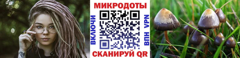 Псилоцибиновые грибы MAGIC MUSHROOMS  Пошехонье 