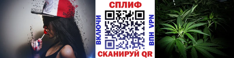 МАРИХУАНА семена где купить Пошехонье